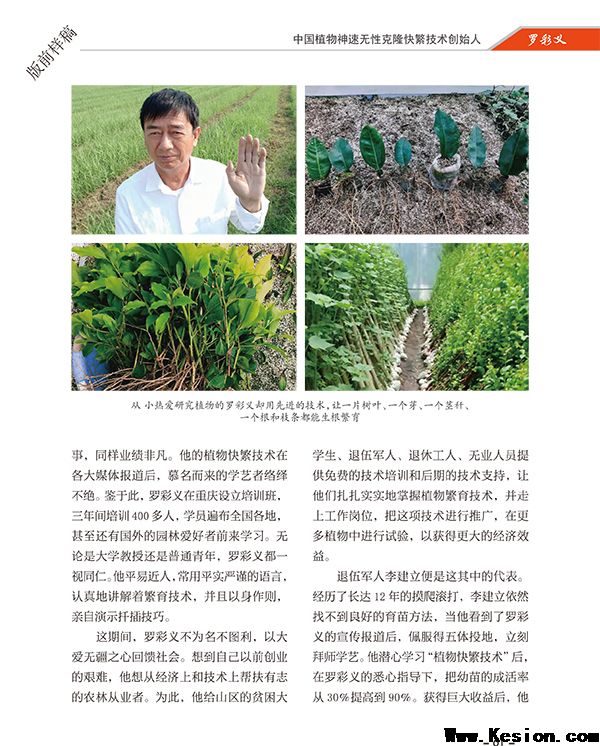 中国植物神速无性克隆快繁技术创始人罗彩义