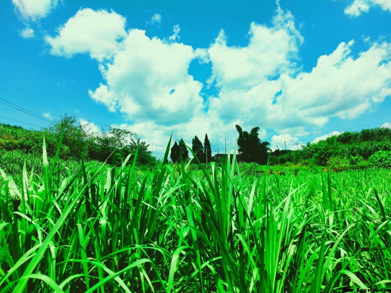 Բݴ緱ѱ