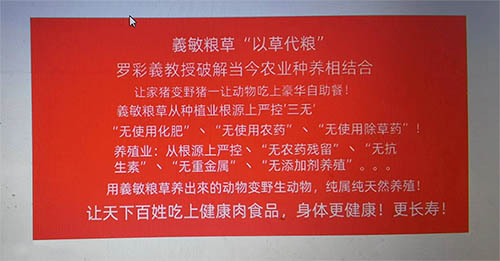 家猪变野猪——让动物吃上豪华自助餐