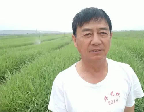 家猪变野猪——让动物吃上豪华自助餐