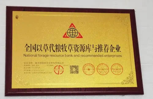 家猪变野猪——让动物吃上豪华自助餐