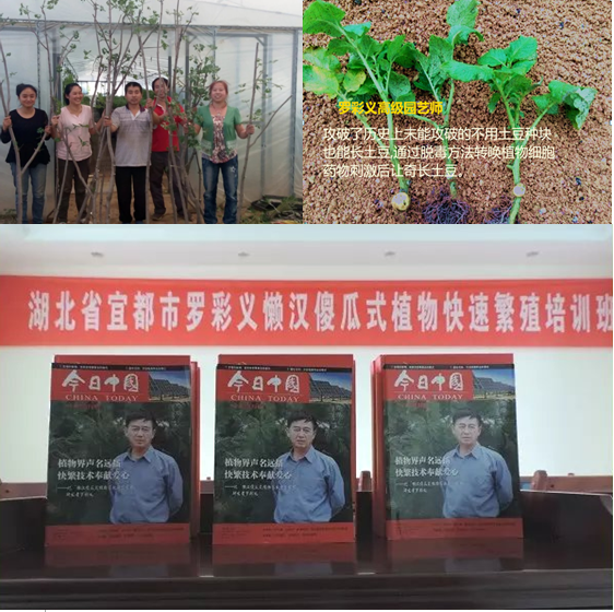 中国新闻社内刊部于2016年7月12号联合发布给我一张树叶,还您一片森林
