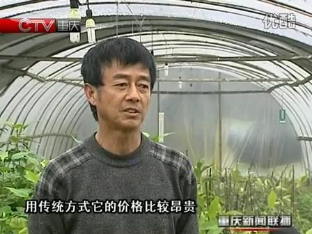 重庆卫视新闻联播再次报道快繁男罗彩义的傻瓜式植物高效快繁技术